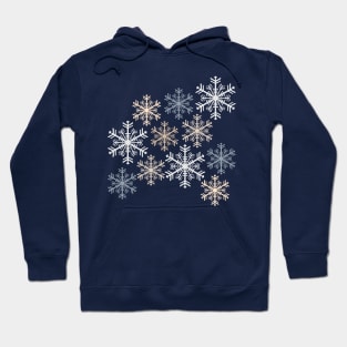 Blue Winter Hoodie